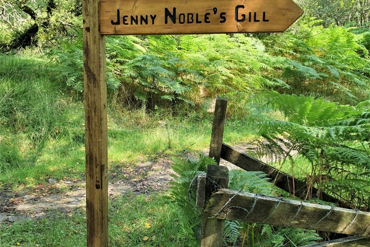 Jenny Noble's Walk